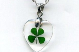 The amulet clover