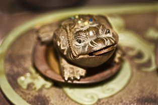 Amulet-the toad on the luck and wealth
